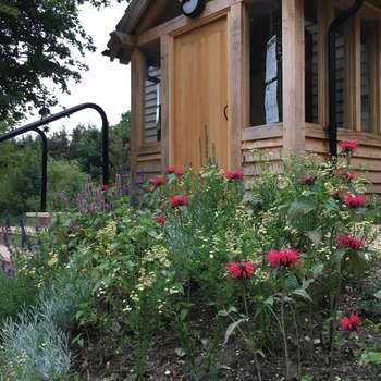 www.sustainability-centre.org