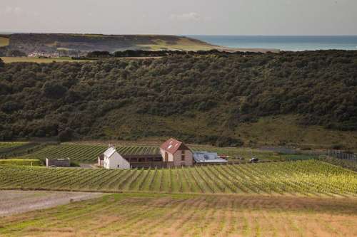 www.rathfinnyestate.com