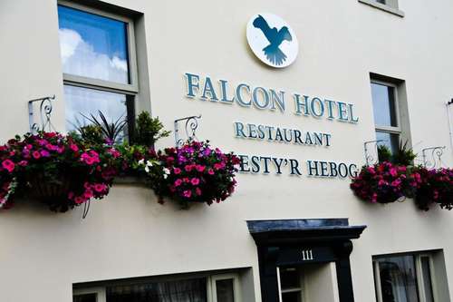 www.falconcarmarthen.co.uk