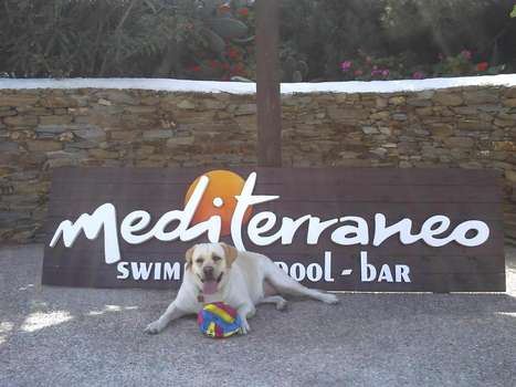 www.mediterraneo-ios.com