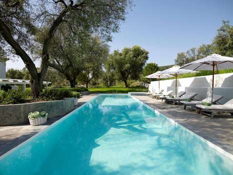 www.olivemare.gr