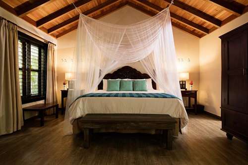 www.junglelodgetikal.com