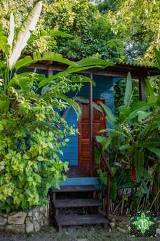 www.aliceguesthouse.com
