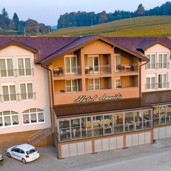 www.hotel-amarilis.com