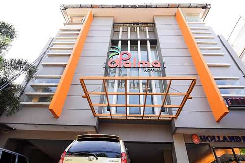 www.dpalmahotelbdg.com