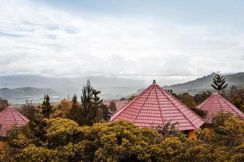 www.papua-explorer.com