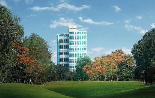 www.themulia.com