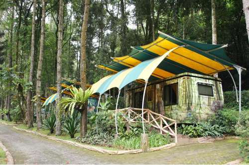 www.tamansafari.com