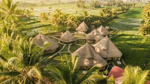www.manaubud.com