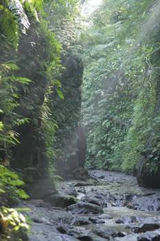 www.pramanagirikusuma.com