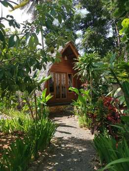 www.coconuttreecottages.com