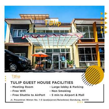 www.tulip-guesthouse.com