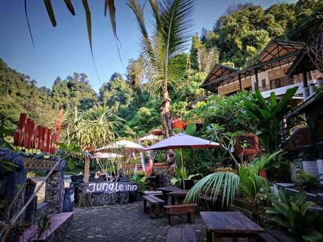 www.jungleinnbukitlawang.com