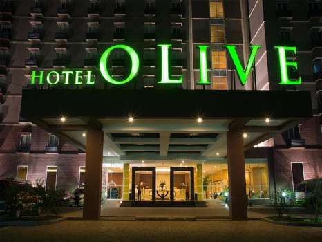 www.hoteloliveindonesia.com