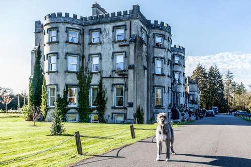www.ballyseedecastle.com