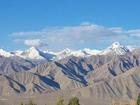 www.ladakhhimalayanretreat.com