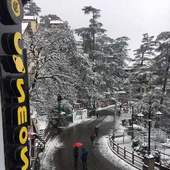 www.hotelcosmosshimla.com