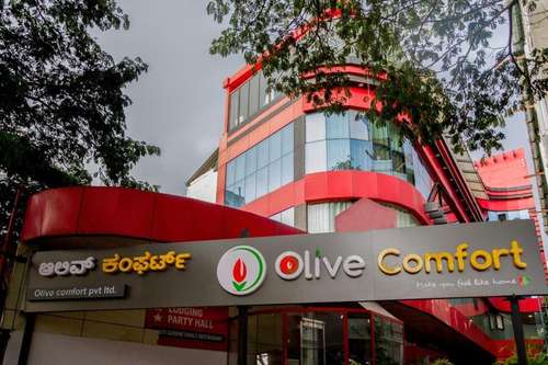 www.olivecomfort.com