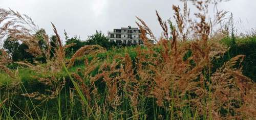 www.krishnahimalayanhotel.in
