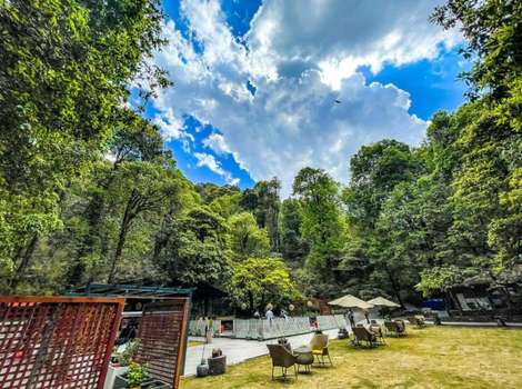 www.ayarjungleresort.com