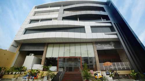 www.thesheeshamtree.com