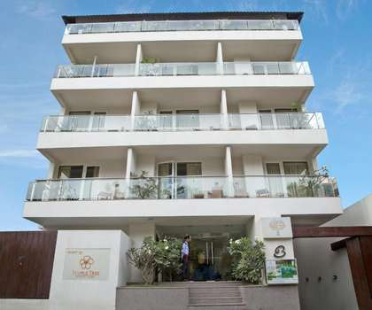 www.templetreehotel.com