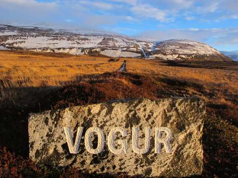 www.vogur.org