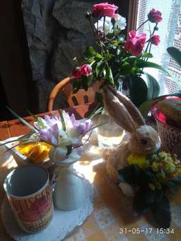 www.hotellafontana.it