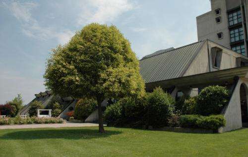 www.cavallinohotel.it