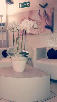www.roccovacanze.it