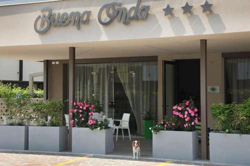 www.hotelbuenaonda.com