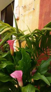www.hotelsacralla.it
