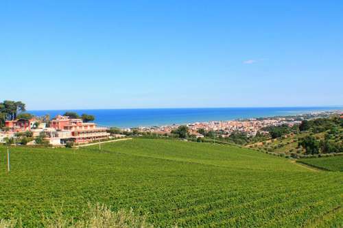 www.ilparcosulmare.com