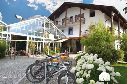 www.bamboo-hotel.it