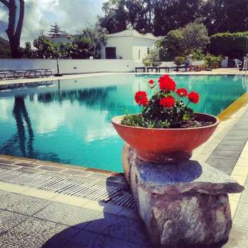 www.hotelalbosco.it