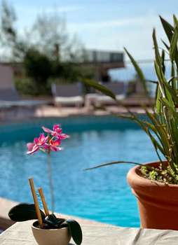 www.hotelandromaco.it