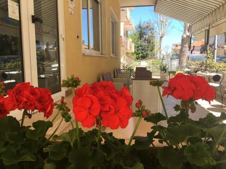 www.hotelvillarinaldini.it