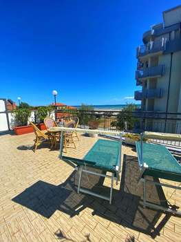 www.hotelamoha.it