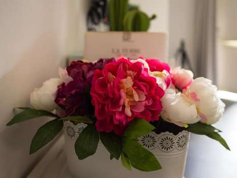 www.hotelscigliano.it
