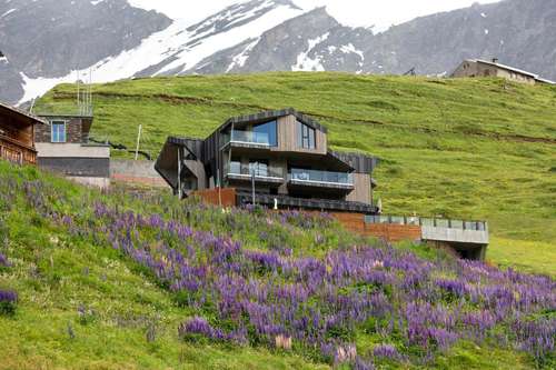 www.bergman-hotel.com