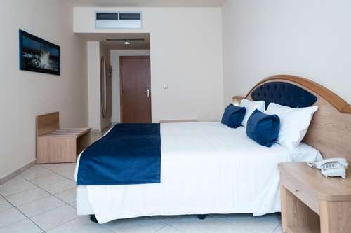 www.bluhoteltorino.it