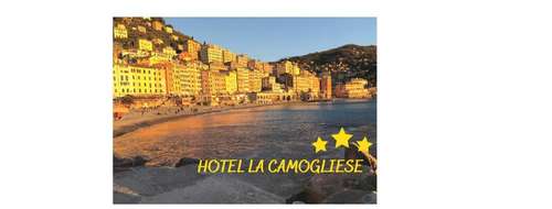 www.lacamogliese.it