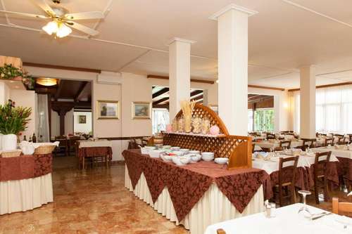 www.hotelarboreajesolo.it