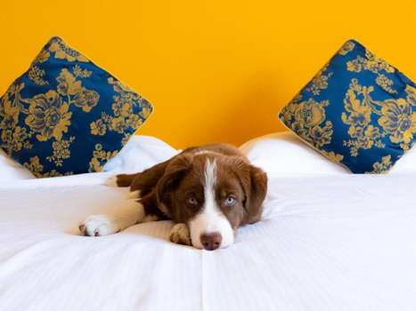 www.hotelcastello.com
