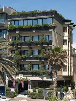 www.sanfranciscoviareggio.it