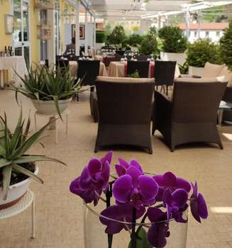 www.resortbelvedere.it