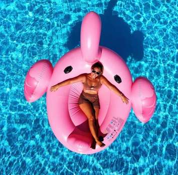 www.hotel-flamingo.com