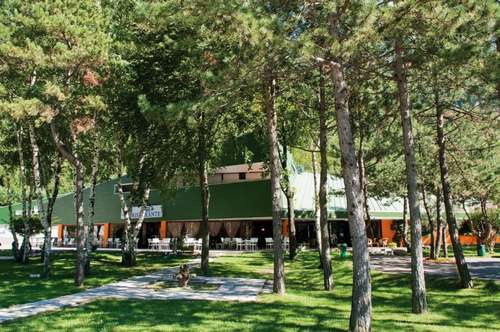 www.hotelcarnia.it