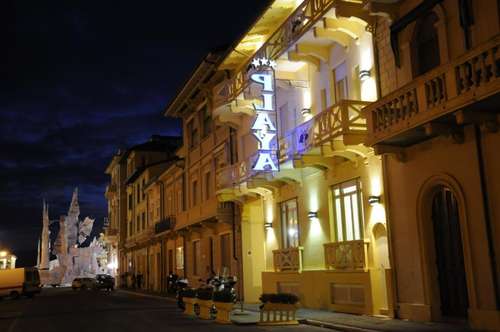 www.hotelplayaviareggio.it
