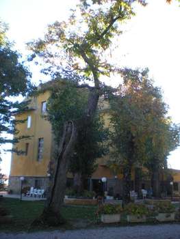 www.albergoragnodoro.it